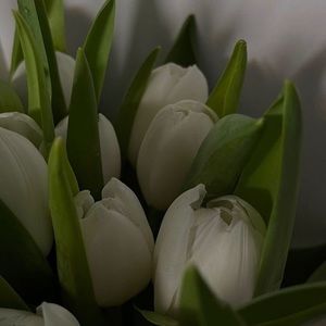 Meet your Posher, Matilda